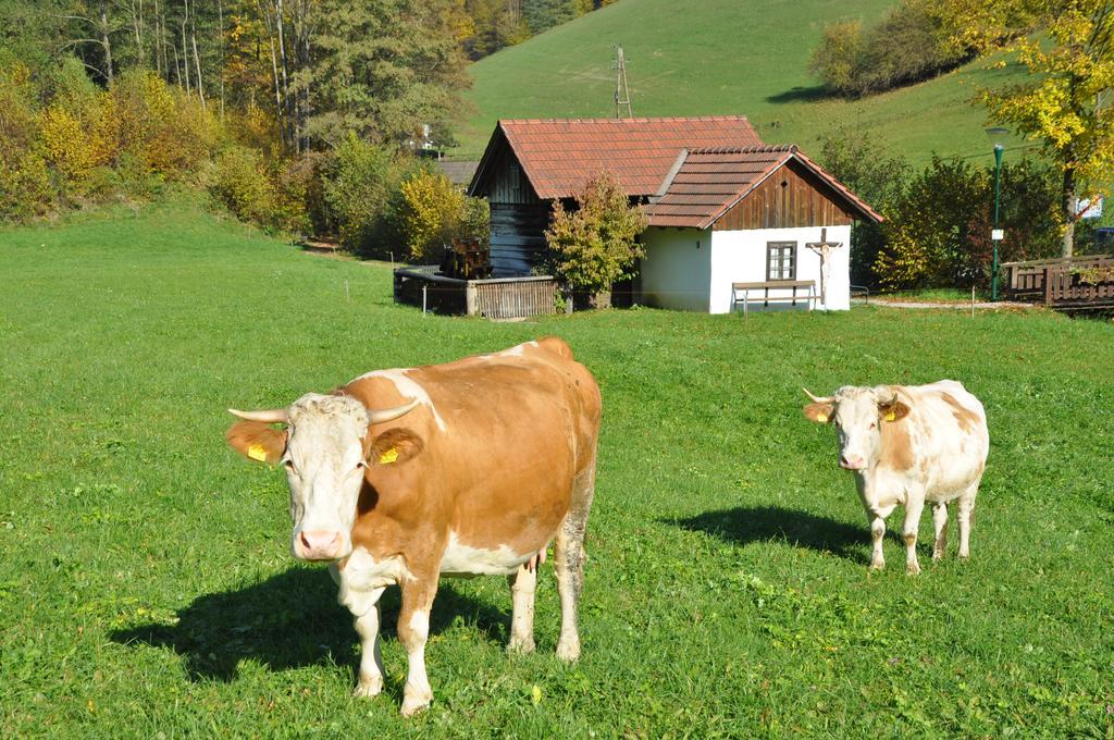 Apart Dirndltal Loich Esterno foto